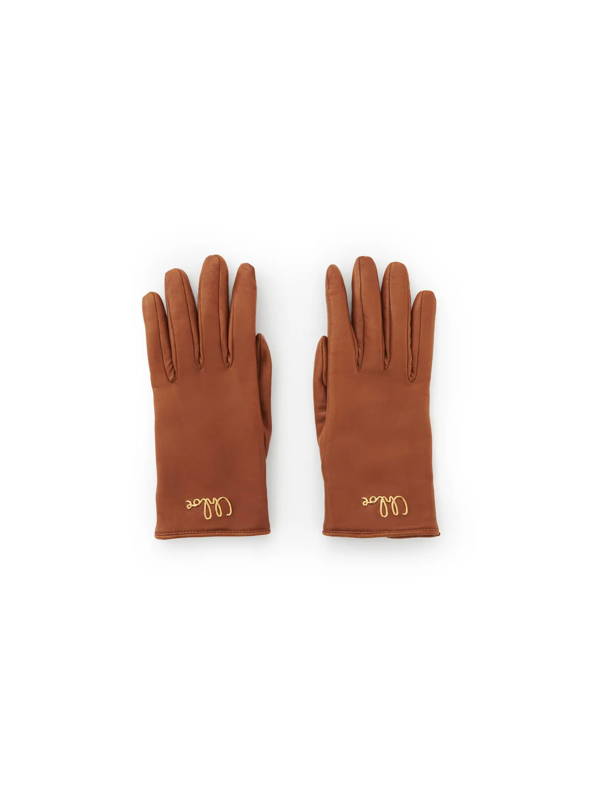 The Chloé Iconic gloves in leather