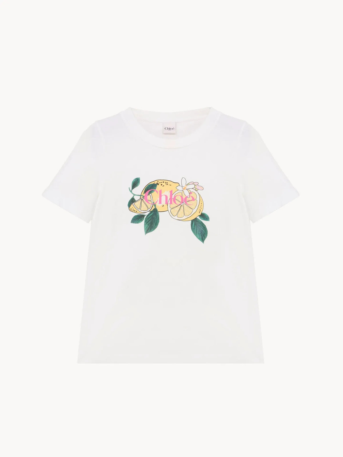 Crew-neck logo T-shirt in cotton jersey